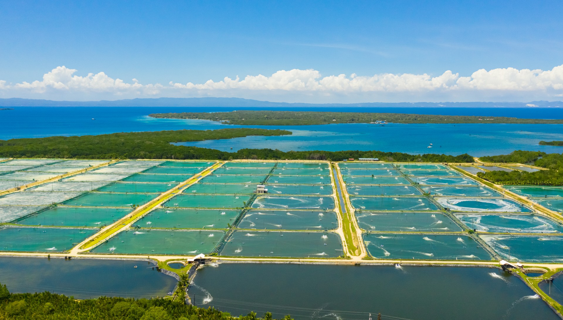 农村污水一体化污水处理方案有哪些？